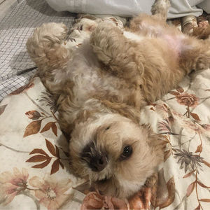 Meet your Posher, Taryn